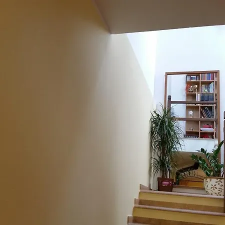 Mitzixeddas *
